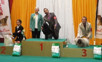Vannjty - LIEGE Golden Dog Trophy 2012