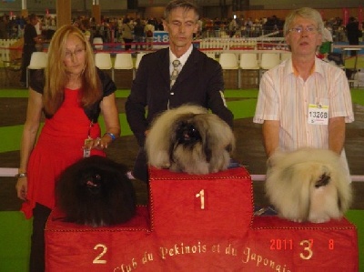 Vannjty - Championnat de FRANCE 2011