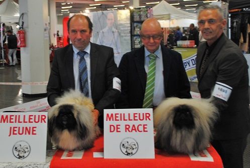 Vannjty - NATIONALE METZ 2015