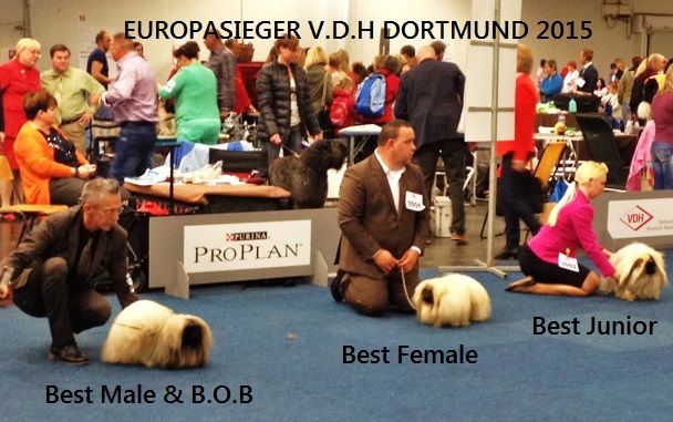Vannjty - EUROPASIEGER DORTMUND (D) 09 MAI 2015