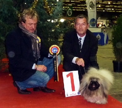 Vannjty - BRUSSELS DOG SHOW 2011