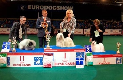 Vannjty - EURODOGSHOW COURTRAI 2011