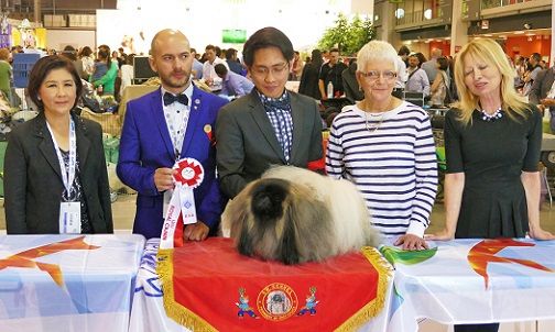 Vannjty - CHAMPIONNAT DU MONDE MILAN 2015