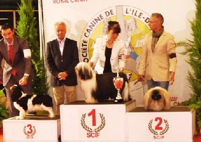 Vannjty - PARIS DOG SHOW 2013