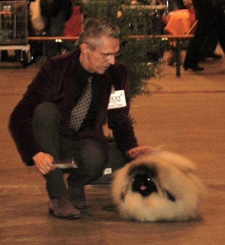 Vannjty - BRUXELLES 06.12.14 Shankhaiskiy Surpriz Yamme Ya Best Puppy