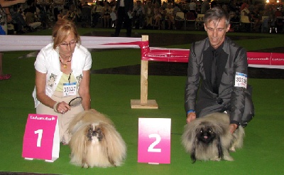 Vannjty - Championnat du MONDE 2011