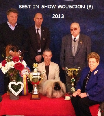 Vannjty - BEST IN SHOW - MOUSCRON 2013