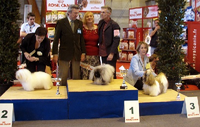 Vannjty - GRAND SUCCES A COLMAR 2010...