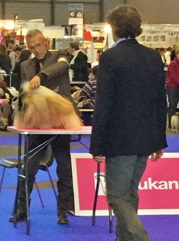 Vannjty - INTERNATIONALE GENEVE 22 Novembre 2015