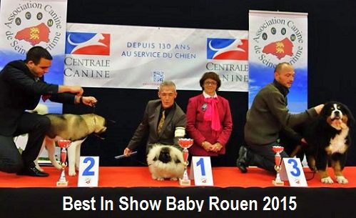 Vannjty - INTERNATIONALE & SPECIALE ROUEN 2015