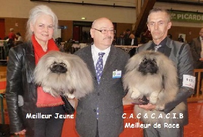 Vannjty - INTERNATIONALE DE AMIENS 2012