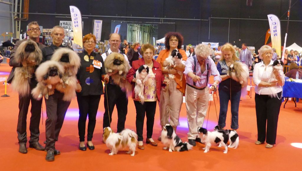 Vannjty - INTERNATIONALE DOUAI 2015 SPECIALE DU CLUB