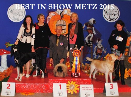 Vannjty - INTERNATIONALE & SPECIALE METZ 2015