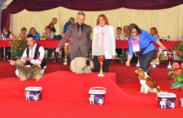 Vannjty - SPECIAL du CLUB - NATIONALE de VALLERES/TOURS