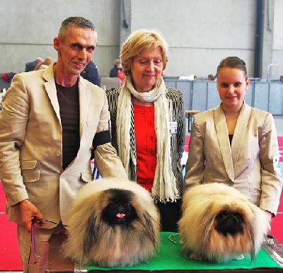 Vannjty - INTERNATIONALE DE ANVERS 14 AVRIL 2013