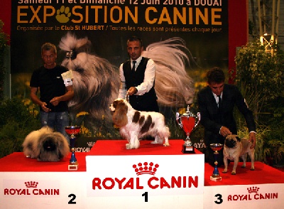 Vannjty - EXPOSITIONS DE DOUAI 2010