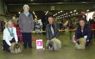 Vannjty - ANVERS 2012 - NOUVEAU CHAMPION BELGE
