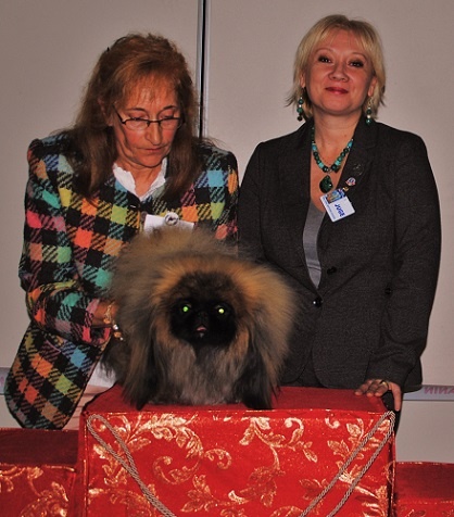 SPECIALE DE METZ le 03.11.2013
